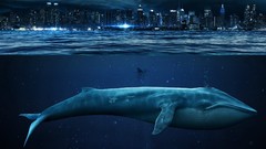 Ocean diver City Lights Whales artwork city skyline split-view