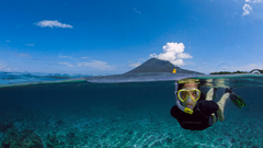 Ocean diver split-view