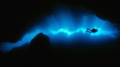 Ocean diver underwater honduras