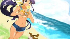 Ocean Dogs long hair