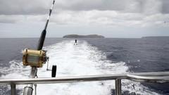 Ocean funny Boats Sea