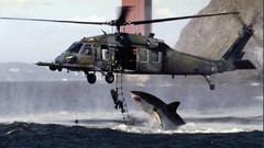 Ocean Helicopters surfing Sharks