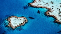 Ocean Islands Hearts