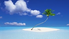 Ocean Islands palm trees Beaches