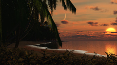 Ocean Landscapes beach Sea