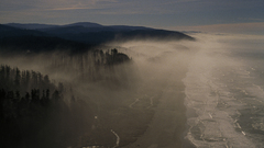 Ocean Landscapes forests hills