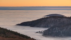 Ocean Landscapes horizon Trees