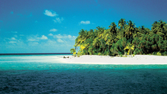 Ocean Landscapes Islands palm