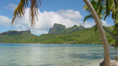 Ocean Landscapes nature palm