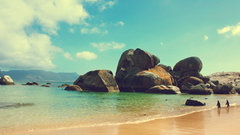 Ocean Landscapes rocks Penguins