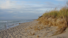 Ocean Landscapes sand grass