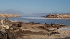 Ocean Landscapes Sea Beaches