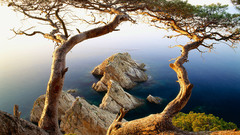 Ocean Landscapes Trees Islands