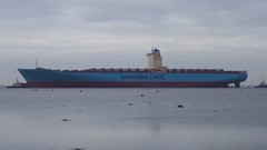 Ocean maersk line container ships