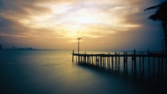 Ocean palm trees dock piers city skyline