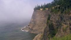 Ocean Trees cliffs