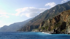 Ocean Trees Sea Beaches