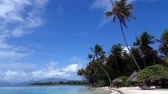 Ocean tropical Islands palm