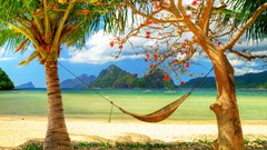 Ocean vacation hammock palm trees Beaches