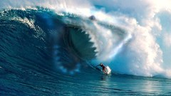 Ocean waves surfing Sharks