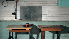 Octopus and some beans