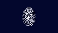 Octopuses fingerprints