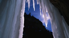 Of nature high digital