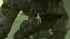 Of The colossus Anime