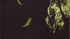 Of The colossus high