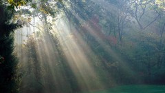 Ohio hunting valleys