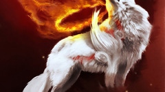 Okami Amaterasu
