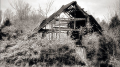 Old barn IR qt