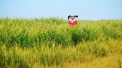 Old Dogs Pixels versus hunt reality video games