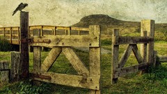 Old gate paintings fences