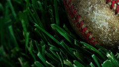 Old grass baseball macro