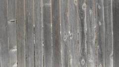 Old Wood panel texture