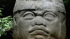 Olmec head