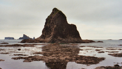 Olympic beach rocks high