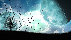 One better This Which moons