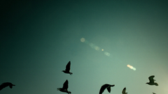 One Birds The like only This have