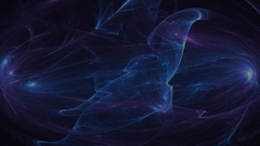 One fractal Made This