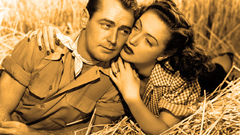 One high sepia similar