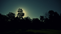 One july This dsc took