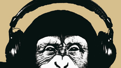 One Money different headphone ) With found attempt tineeye