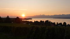 One of My background