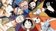 One Piece (anime)
