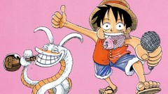 One Piece (anime)