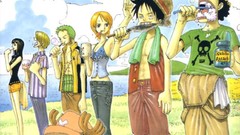One Piece (anime)