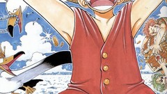 One Piece (anime)