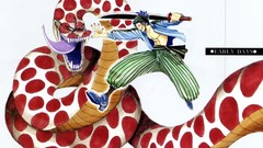 One Piece (anime)